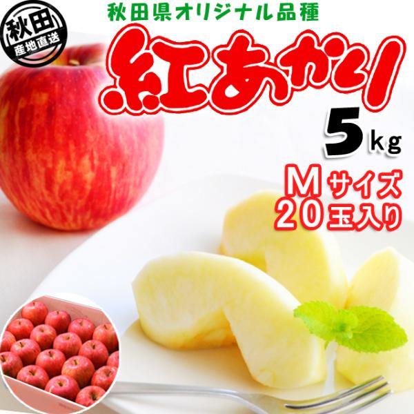 秋田産りんご 紅あかり 5kg Mサイズ 20玉 出荷期間:11月下旬〜12月中旬