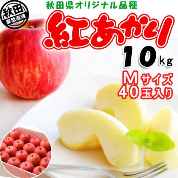 秋田産りんご 紅あかり 10kg Mサイズ 40玉 出荷期間:11月下旬〜12月中旬