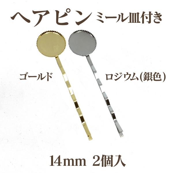 wAs ~[Mt(a14mm)2 AEgbg iւ ݌Ɍ ؂ ēז