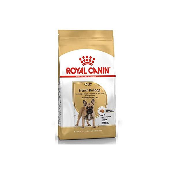 はちみつ　 CANIN フレンチブルドッグ 3kg✖️2 はちみつ CANIN フレンチブルドッグ 3kg✖️2 はちみつ様専用