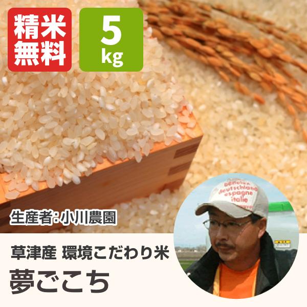 環境こだわり米 夢ごこち 小川農園 5kg 令和3年 滋賀県産 近江米 道の駅草津 R 26 05 03 近江特市 近江米通販 通販 Yahoo ショッピング