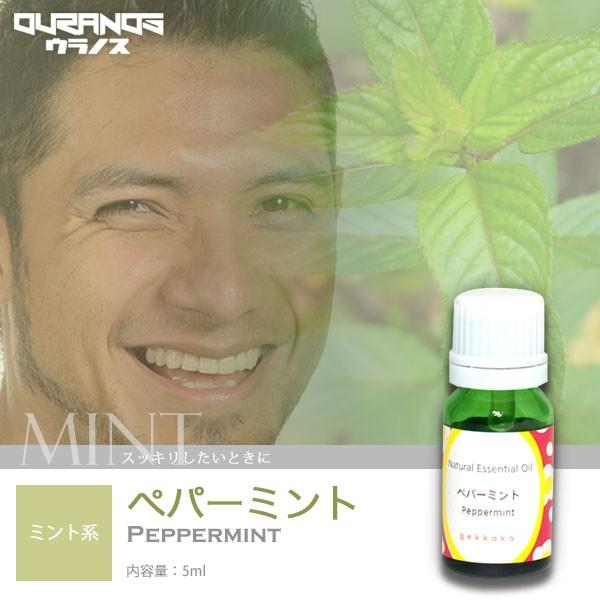 5ml エッセンシャルオイル ペパーミント アロマオイル 精油 シングルオイル ミント系 Ei Pep01 005 Ouranos 通販 Yahoo ショッピング