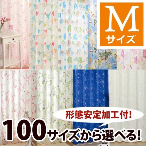 J[e `ԈH J[e fUC J[e l 1/100TCY/OUD1598