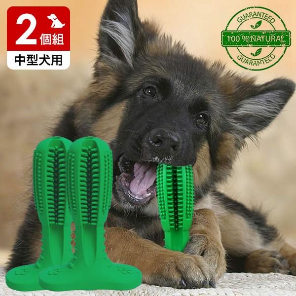 犬用歯ブラシ 犬 歯磨き 歯みがき デンタルケア おもちゃ Mサイズ 中型犬用 2個組 送料無料 代金引換不可 アウトレットファニチャー 通販 Yahoo ショッピング