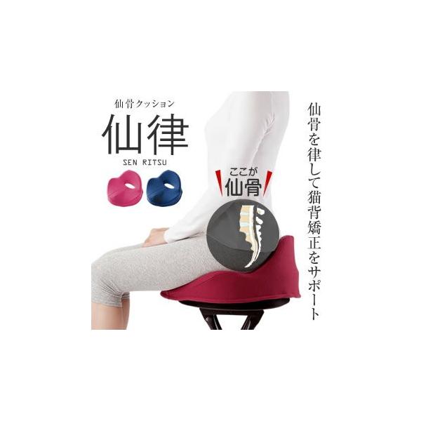 LwT|[g 卜 NbV 嗥 zc p NNbV ՃT|[g Lw ֎q ֎q ItBX 卜T|[g  䂪