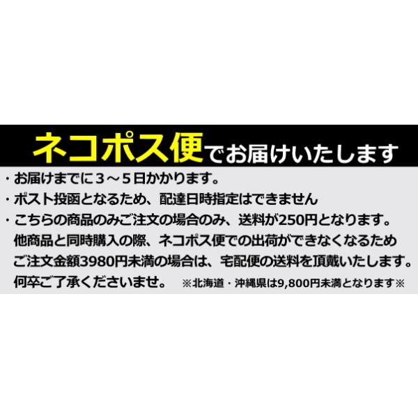 �S���t ���E���h �~�j�g�[�g�o�b�O ���|�P�b�g�t�� �f�j�������n ���i�摜3