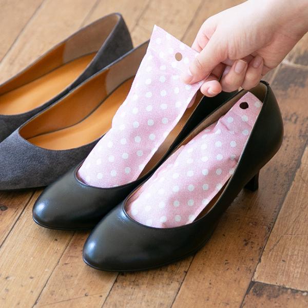 乾燥剤 脱臭剤 靴 シューケア レディース シューズ 脱臭 消臭 湿気吸収 湿気取り 乾燥 除湿 メール便対象商品 試着チケット対象外 Welleg From アウトレットシューズ 通販 Paypayモール