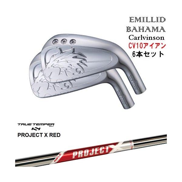 EMILLID BAHAMA（エミリッドバハマ） Carlvinson CV10 IRON アイアン5