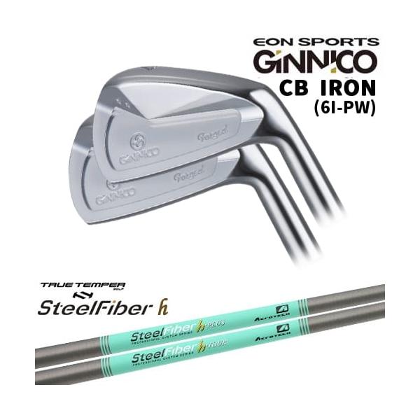 GINNICO ジニコ CB IRON アイアン5本set(6I-PW)[6P]イオンスポーツ