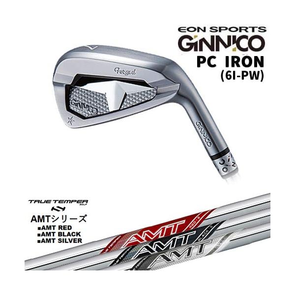ginnico PC 5番アイアン　美品！ GINNICO ジニコ PC IRON アイアン単品(5I/AW)[IR]イオンスポーツ