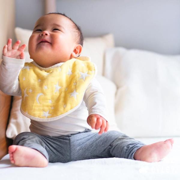 X^C 悾| X^[[ CG[ {  6dK[[ bb-4018-yl