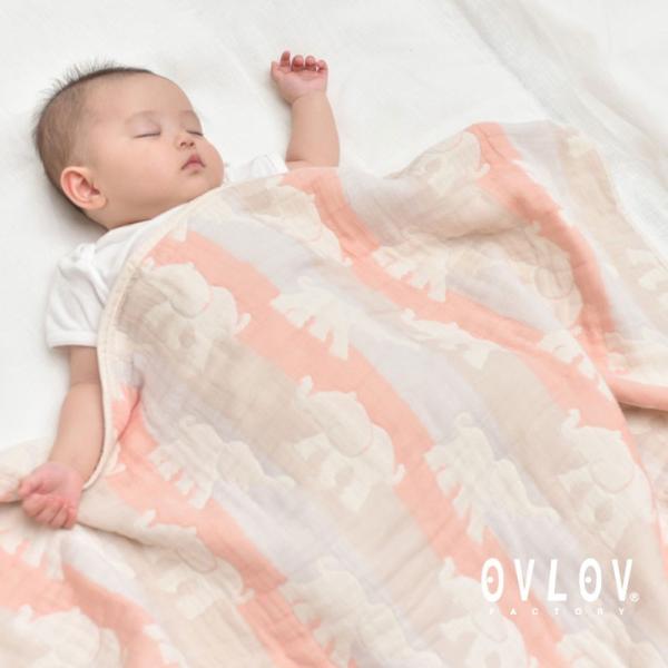 6dK[[Pbg  sN IWifUC { 70x100 xr[TCY bkt-4023-pk-s