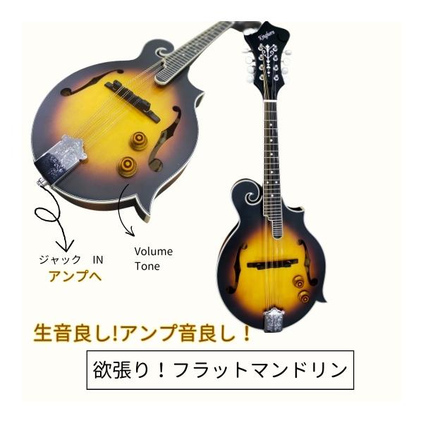 フラットマンドリンとは、美しい音色と独特のフォルムが特徴の弦楽器です。このフラットマンドリンは弾き心地に関わる弦高などは調整と設計により、快適に演奏できる工夫が施されています。フラットマンドリンボディに渦巻を持ったFタイプ。ピックアップを後...