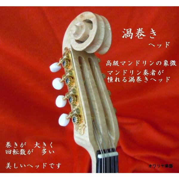 高級マンドリンとマンドリンケースセット Imperial4004 渦巻きヘッド 手彫りリブ胴 天然貝細工 粒状 1年保証 Buyee Buyee Japanese Proxy Service Buy From Japan Bot Online