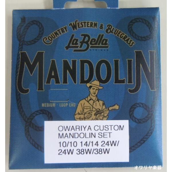 「日本の奏者が演奏しやすく、音がきれいなフラットマンドリン弦」オワリヤ楽器が探求し、アメリカの弦専門La Bella社が製造。Made in USAアメリカLa Bella社から直輸入しています。＊オワリヤ楽器の特別仕様のため、他では販売し...