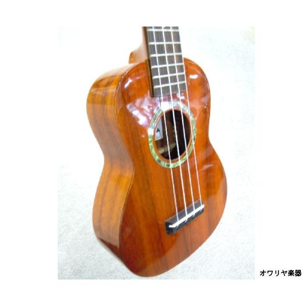 owariya-gakki_uk300
