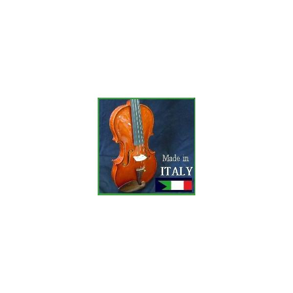 バイオリン　マイスター Luigi Aquilino作 イタリア製【製作証明書つき】