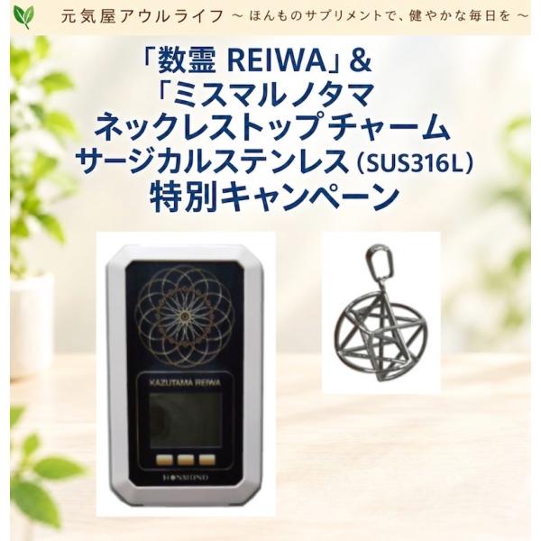 owl-life_ktec001