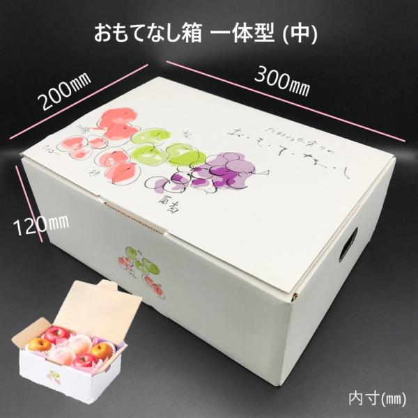お も て な し 箱 一体型 中 50枚 ワンタッチ式 りんご みかん 桃 梨