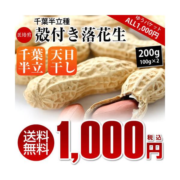 t kԐ 200gi100g×2j s[ibc i ܂ ALL1000  tYԐgp 䂤pPbg