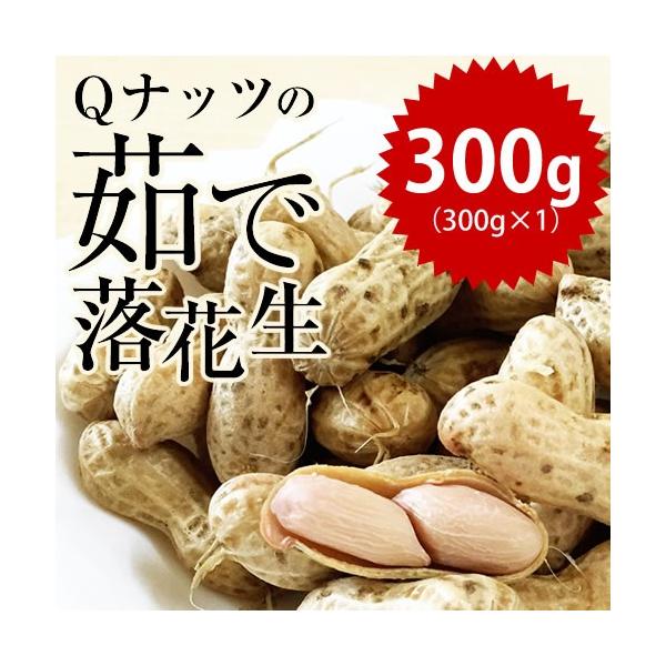 新豆 令和3年産 千葉県産 Qなっつ ゆで落花生 300g Qナッツ 2WEEKS0318 :rakkasei-020:小山田商店 - 通販 - Yahoo!ショッピング 新豆 令和3年産 千葉県産 Qなっつ ゆで落花生 300g Qナッツ 2WEEKS0318 :rakkasei-020:小山田商店 - 通販 - Yahoo!ショッピング