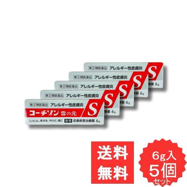 コーチゾン雪の元S 6g 【指定第2類医薬品】 5個セット しっしん かゆみ