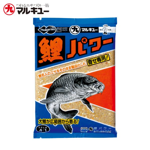 鯉釣り　飛鯉　Daiwa 2本セット 鯉釣り 飛鯉 Daiwa 2本セット