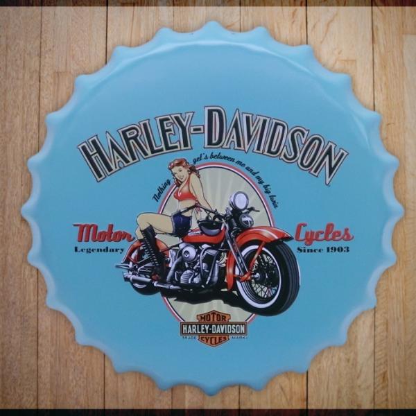 ハーレーダビッドソン Harley-Davidson バイク オートバイ