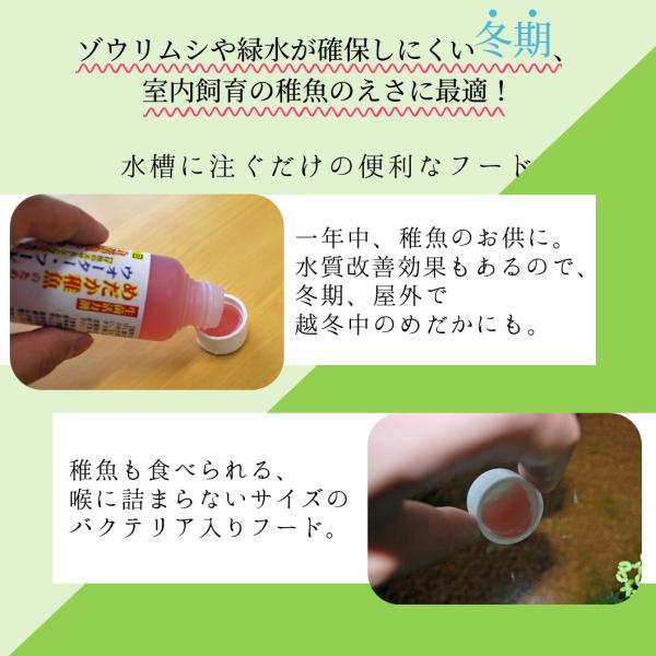 めだか稚魚のためのウォーターフード 0ml 5本セット メダカ 赤ちゃん 稚魚 えさ 生存率アップ アクアリウム 成魚にもおすすめ Buyee 日本代购平台 产品购物网站大全 Buyee一站式代购 Bot Online