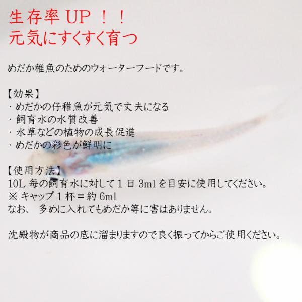 めだか稚魚のためのウォーターフード 1ml 3本セット 日本製 メダカ 赤ちゃん 稚魚 えさ 生存率アップ アクアリウム 成魚にもおすすめ Buyee Buyee 日本の通販商品 オークションの代理入札 代理購入