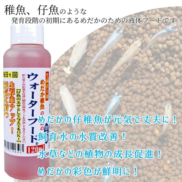めだか稚魚のためのウォーターフード 1ml 日本製 メダカ 赤ちゃん 稚魚 えさ 生存率アップ アクアリウム 成魚にもおすすめ Buyee Buyee 日本の通販商品 オークションの代理入札 代理購入