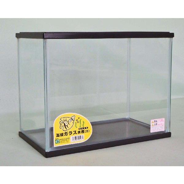 小型水槽s ガラス水槽 315x185x245mm Buyee Buyee 提供一站式最全面最專業現地yahoo Japan拍賣代bid代拍代購服務bot Online
