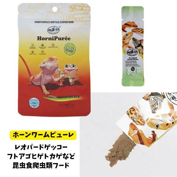 レオパードゲッコー、フトアゴヒゲトカゲ|キョーリンプロバグズホーン