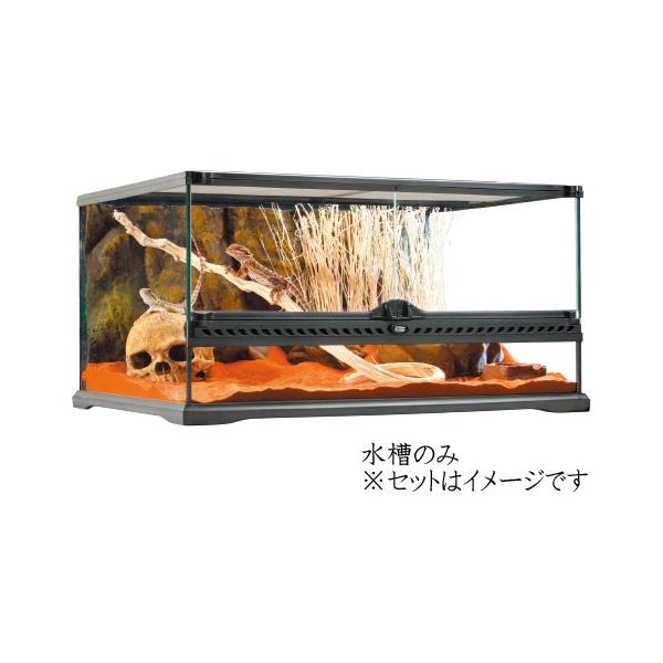 グラステラリウム　6030 GEX グラステラリウム6030 PT2604｜爬虫類・両生類用ガラスケージ