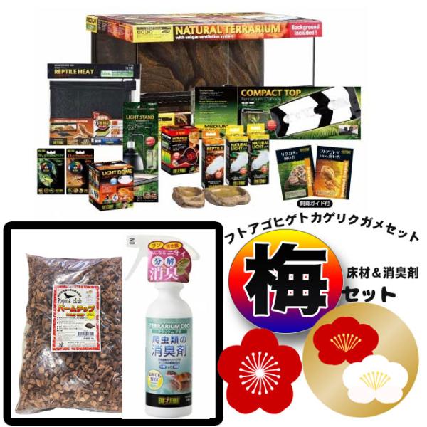 ジェックス フトアゴヒゲトカゲ&リクガメ飼育セットBK1 (Amazon ジェックス フトアゴヒゲトカゲ&リクガメ飼育セットBK1 (Amazon