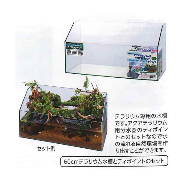 マルカンニッソーｎｗｓ ９５１ティプレイス６００セット ペットマーケットアニマル Yahoo店 通販 Yahoo ショッピング