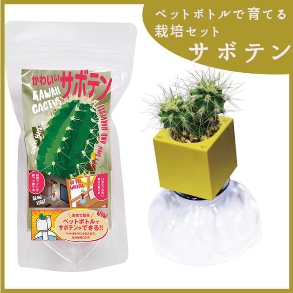 ペットボトル 栽培セット さぼてん サボテン グリーントイ 家庭菜園 簡単 野菜 果物 水耕栽培 水道水 送料無料 Gd プラスコンフォート 通販 Yahoo ショッピング