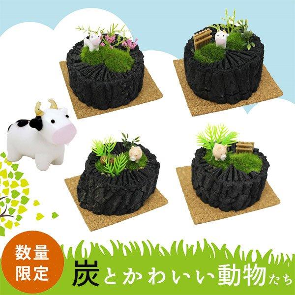 運気アップ 炭牧場 くぬぎ炭 ディスプレイ 動物 ガラス細工 マスコット 置き物 インテリア 癒し ニオイとり 玄関に リビングに 和室に 贈り物 日本製 I 951 プラスコンフォート 通販 Yahoo ショッピング