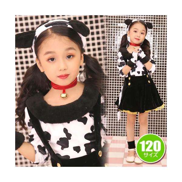 }[[ RXv _VA RX`[ qp LbY  _VA ߑ  Cxg nEB/@_VA@120cm (_408474)