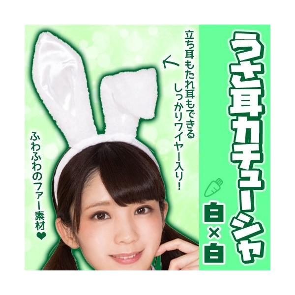 (1_܂Ń[ւ\) J`[V ×/        C[X^[ oj[ ݂ RXv wA[ANZ nEB (B-3058_879916)