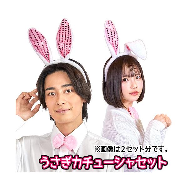 p-kaneko_kg2811--4094eavh