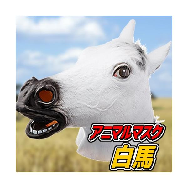 Aj}}XN3 n }XN Ԃ ϑ p[eB[ObY (C-0020_515242)