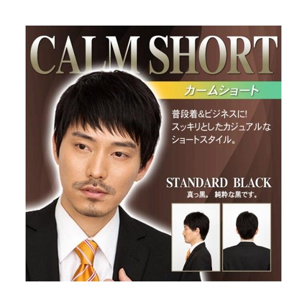 wAlbgt phA[I J[V[g X^_[hubN      /YEBbO jp  RXv t@bV Cxg (3463)