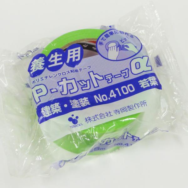 {pPJbge[v No.4100t 30