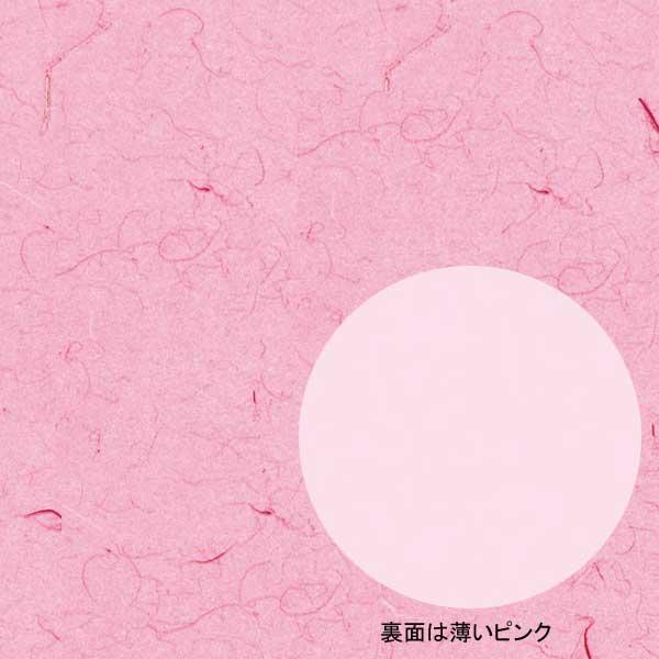 g/h  S ӂуsN 100