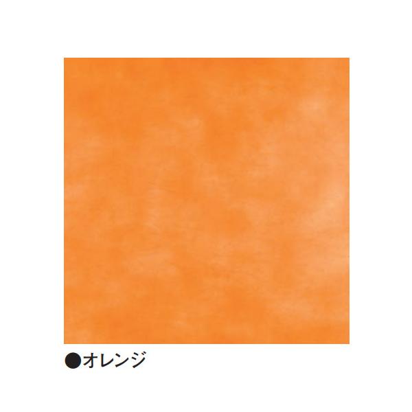 sDzC~ ssn IW 55×55 100