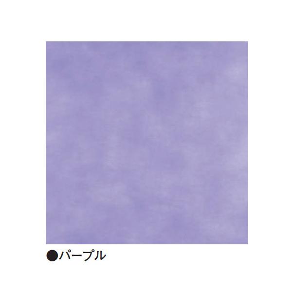 sDzC~ ssn p[v 55×55 20