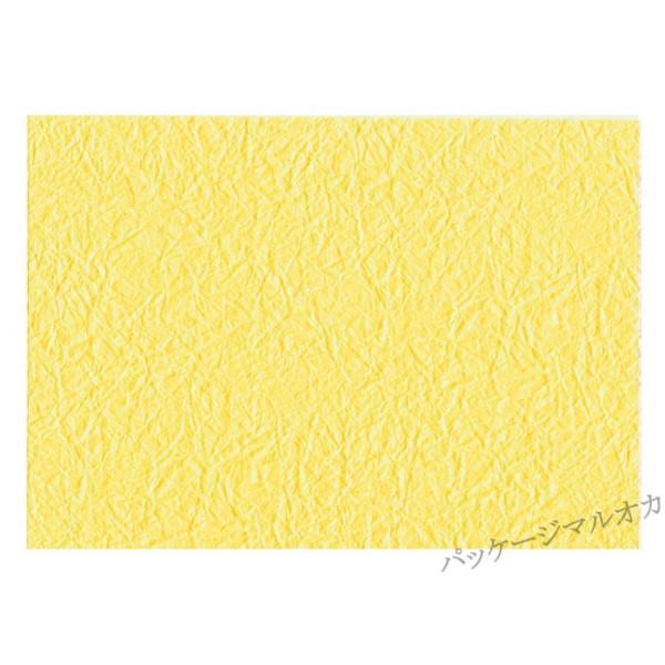 a ̎qG{X No.05EXL 50