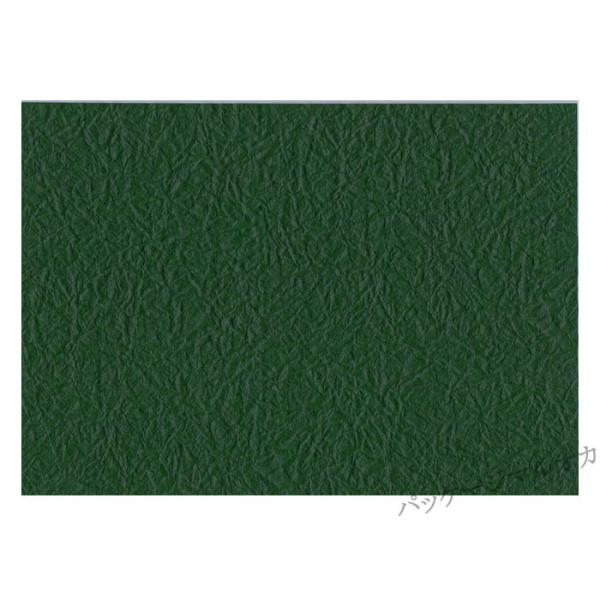 a ̎qG{X No.51 ecR 50