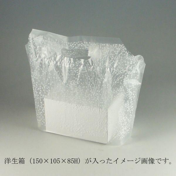 g/h tbgobO 3S ݑ 1000